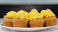 Vegan Cupcakes Lemon Spiral Diner Dallas Denton Fort Worth