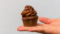 vegan mini cupcakes red velvet chocolate cookies spiral diner arlington denton fort worth